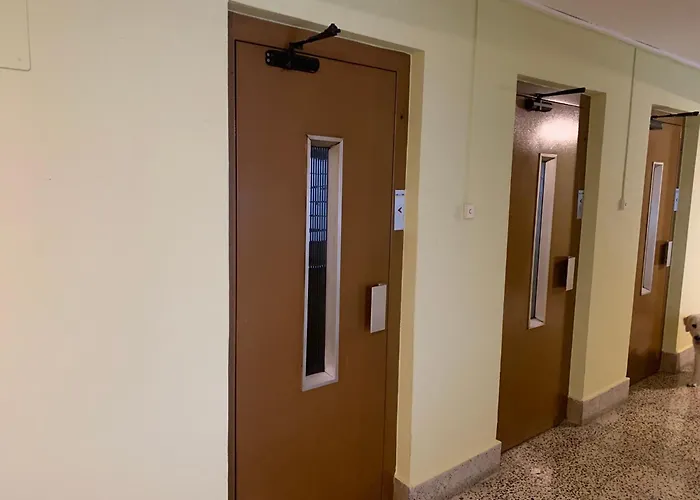 El Solano Del Centro Vut-3323-as *